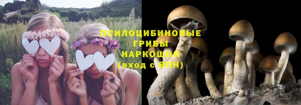 мяу мяу мука Лиски