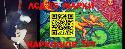 гидропоника Бийск