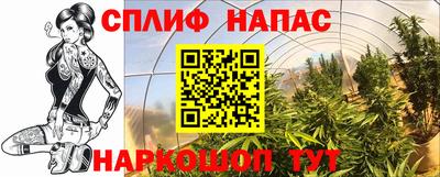 метадон Берёзовский