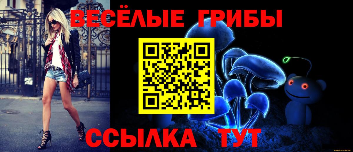 Галлюциногенные грибы прущие грибы Каспийск