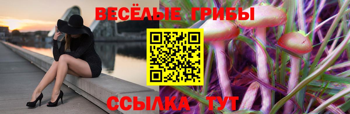 Галлюциногенные грибы мицелий  Каспийск  Галлюциногенные грибы мухоморы 