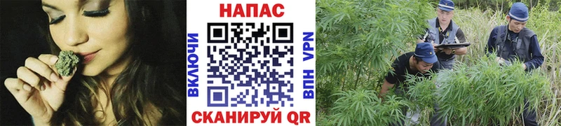 ОМГ ОМГ зеркало  Каспийск  Каннабис семена  наркотики 